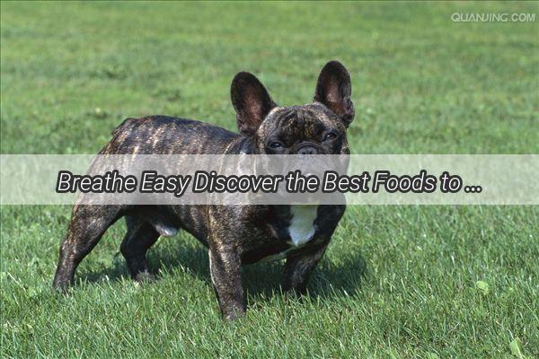 Breathe Easy Discover the Best Foods to Soothe Your Dogs Cough and Congestion